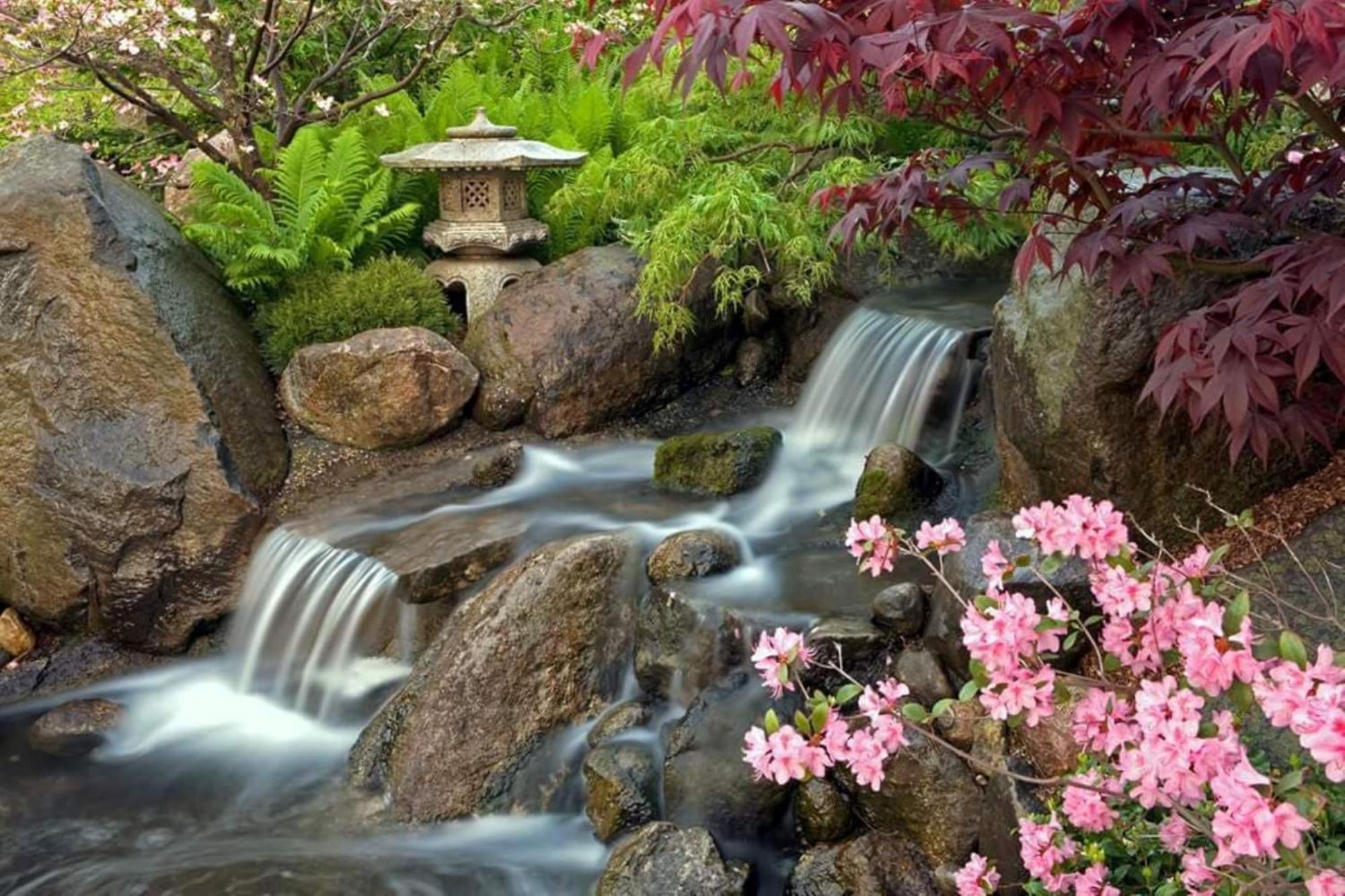 罗克福德洛芙斯公园快捷假日酒店 Loves Park 外观 照片